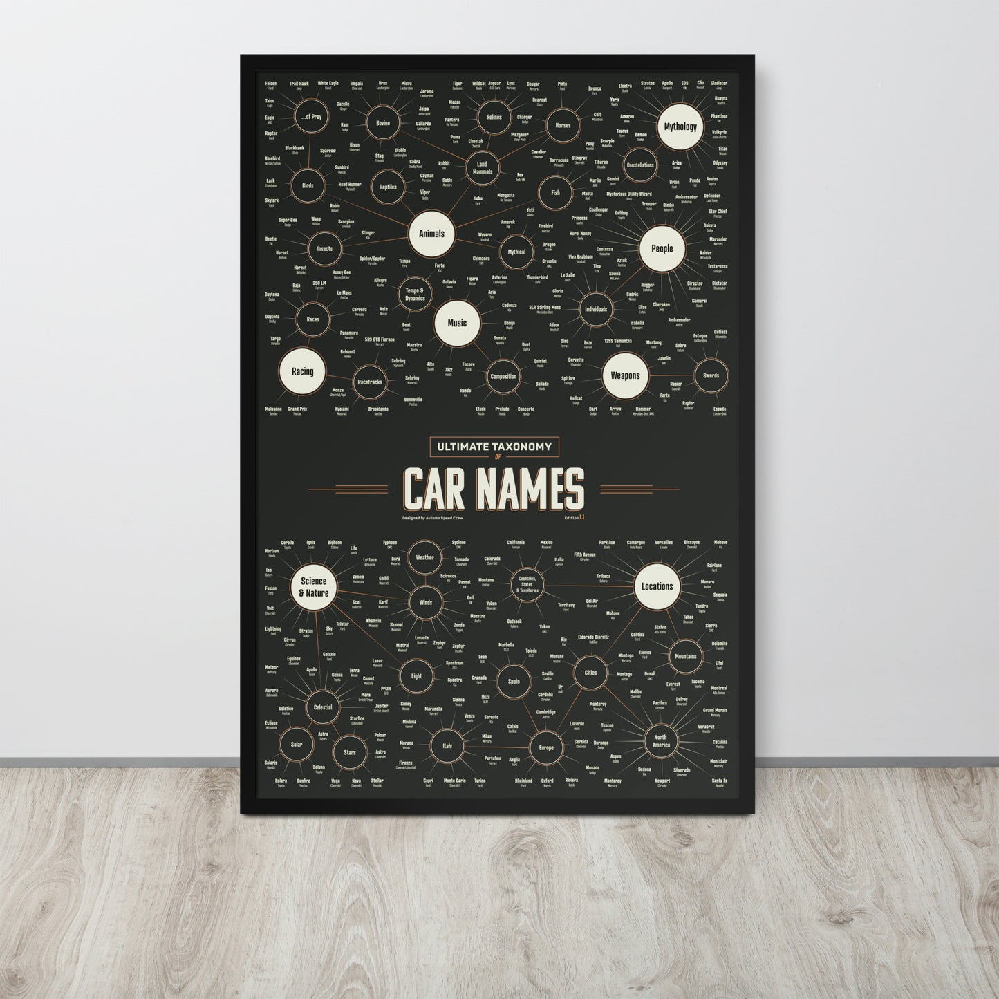 Taxonomy Of Car Names - Infographic Art Print