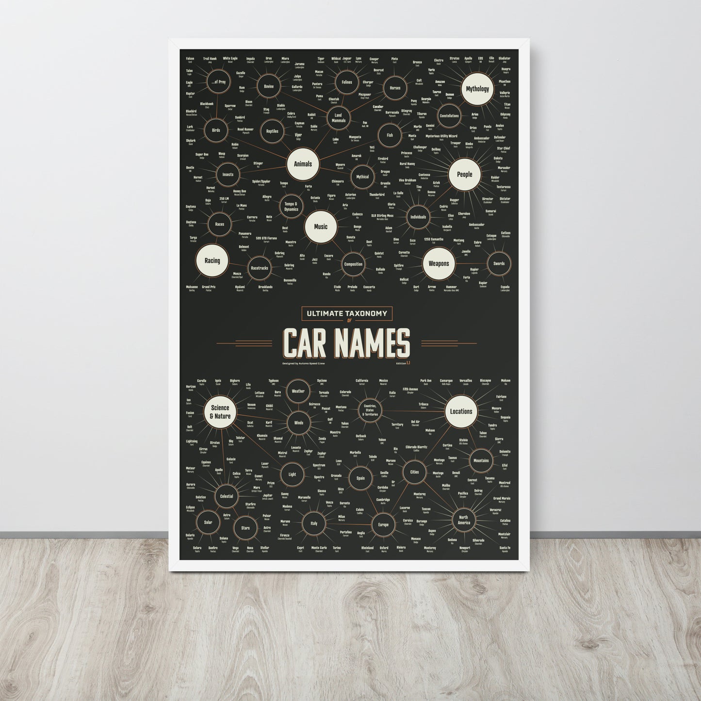 Taxonomy Of Car Names - Infographic Art Print