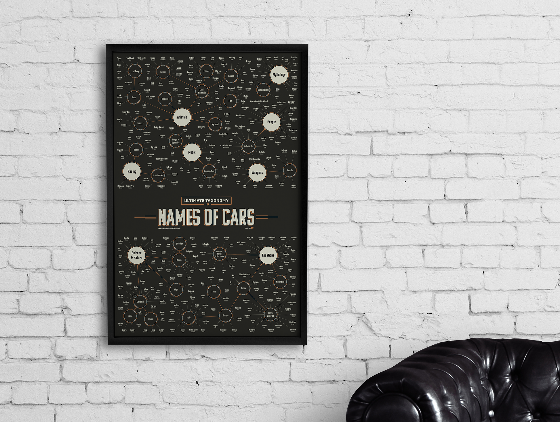 Taxonomy Of Car Names - Infographic Art Print - Framed - Automo Speed Crew